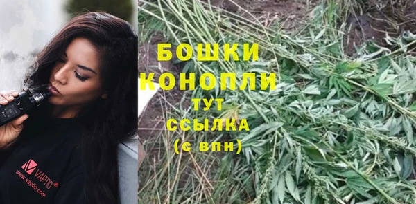 2c-b Вяземский