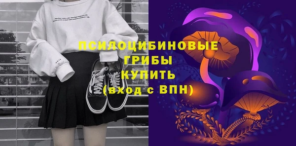 2c-b Вяземский