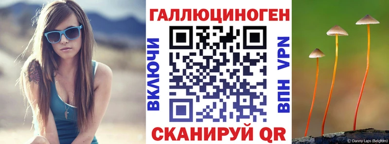 Псилоцибиновые грибы Psilocybe  Купить где  Усть-Илимск 